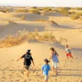 שעון החול הולך ואוזל:-החברה להגנת הטבע ואודי גת למִנהל מקרקעי ישראל: ''בטלו את המכרז''