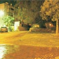 העירייה: עצירה מוחלטת של פיתוח הגינון החדש