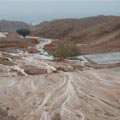 אחרי המבול. העירייה: ''עמדנו בגבורה בסערה''