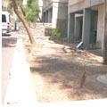 לך תוכיח שאין לך בריכה