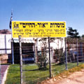 דין תורה כדין קומבינה