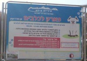 אכיפה מנהלית כנגד עבירות בעלי כלבים