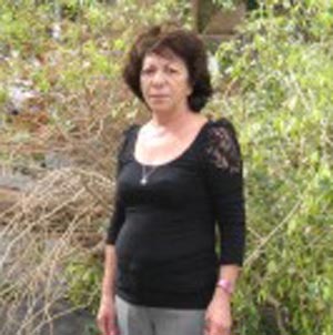נס בסערה: העץ קרס סמוך לילד בן שבע