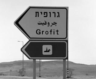 מצביעים לחווה הטיפולית ב'גרופית'