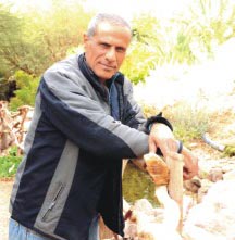 חגיגה ירוקה בחווה האורגנית