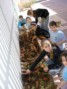 חוקרים צעירים בבית ספר 'יעלים'