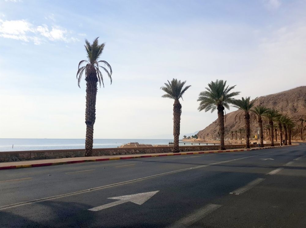 אישה נעצרה באילת בחשד לתקיפת נהג אוטובוס ושוטר