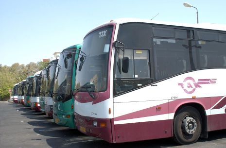 תחבורה ציבורית באילת : מה עושים  כשהנהג לא עוצר בתחנה ? 