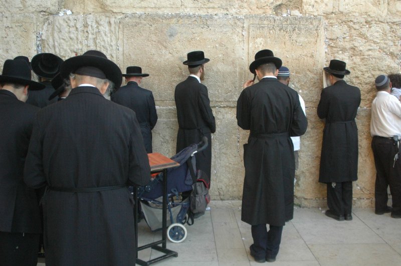 האפליה נמשכת: המשרד לאיכות הסביבה ימשיך להתיר לחרדים לסחור בפרוות - אבל רק להם