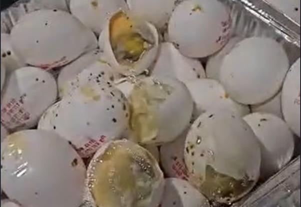 חייל תיעד מזון מקולקל בבסיס סיירים ונשלח למחבוש – ההורים זועמים