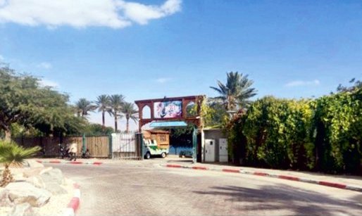 צו הרחקה: חוף הדקל באילת חווה מתקפת ''טרור''
