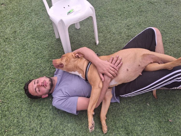 תיק אלדר דיין משנה כיוון: חשדות הרצח וההפקרה ירדו מהפרק