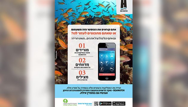 שיא דיווחים ב SeaWatch בשנת 2025 רק 18 מהמקרים במפרץ אילת