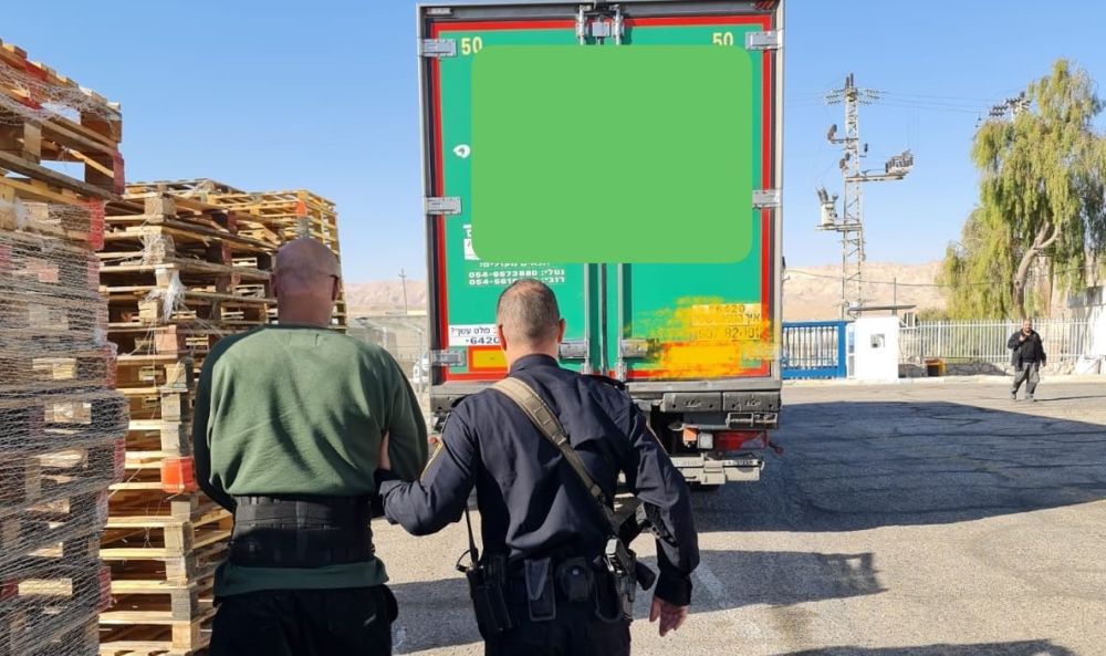 שוד התמרים הגדול בחבל אילות
