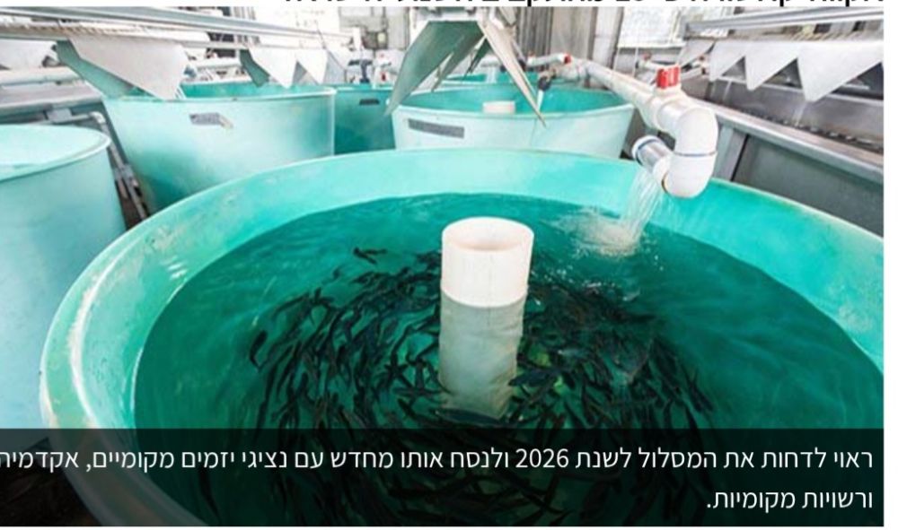 חקלאות ימית באילת: התקציבים שהובטחו קוצצו בעשרות מיליוני שקלים