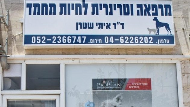 כך תעניקו את הטיפול הטוב ביותר לכלב שלכם