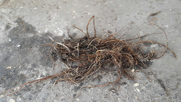 תקלות במערכת המים והצנרת- קראו דחוף לאינסטלטור מומחה!