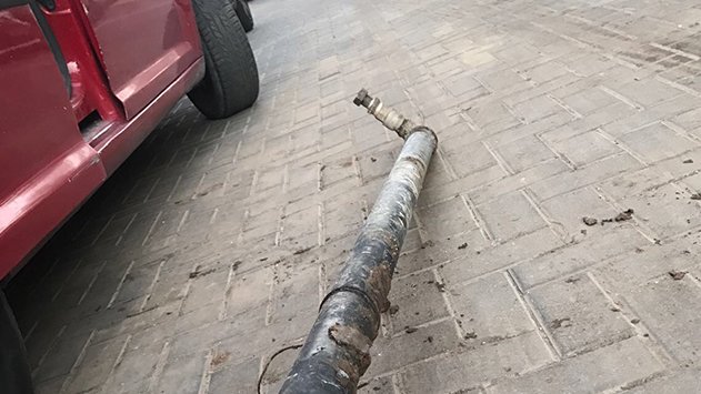 מה לעשות אם שורשי העץ הסותמים את צינור הביוב שלך?