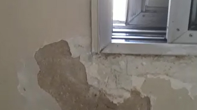אז מה עושים כששוב נתקפנו בבעיית מזיקים בבית או במשרד?