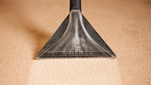 ניקוי שטיחים – למה זה חשוב?