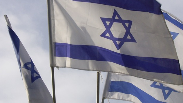 תפקידי ראשי ערים בישראל 