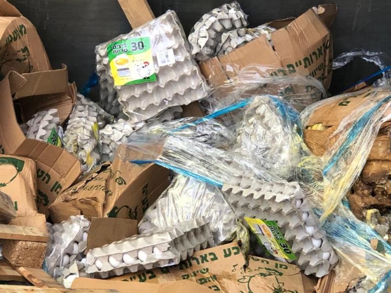 12,000 ביצים הושמדו על ידי הווטרינר העירוני 