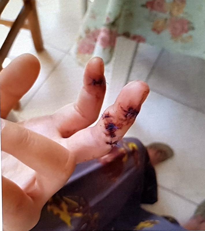 הוארך מעצרו של הירדני שתקף קטינה עד תום ההליכים