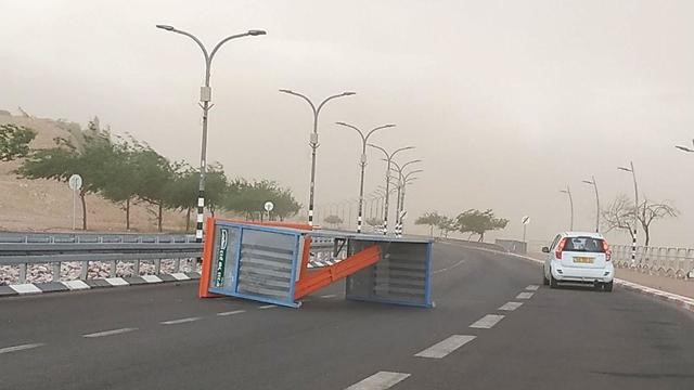 עץ ותחנת אוטובוס נעקרו באילת בשל הרוחות