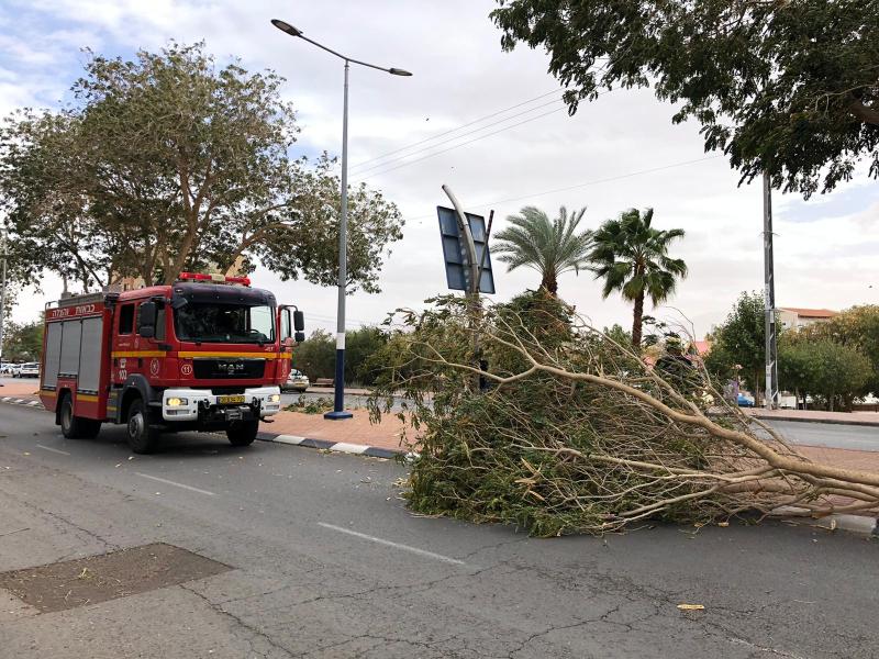  3 רכבים ואופנוע נפגעו כתוצאה מנפילת עמודים ועצים באילת נזקים כבדים לחוף