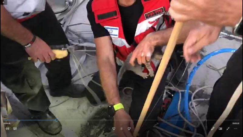 חילוץ מורכב וממושך של גור חתולים הסתיים בהצלחה ובהתרגשות