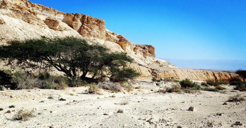 טיול בגב המים צופר בערבה התיכונה שנותר מלא מים לאחר השיטפונות