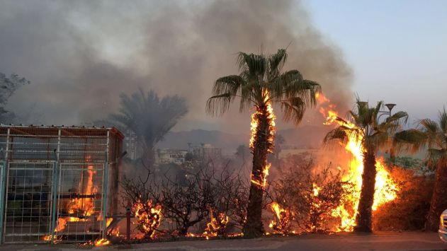 לוחמי האש הצילו את בית הכנסת