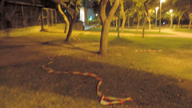 סמים נמכרו לקטינים בגנים ציבוריים