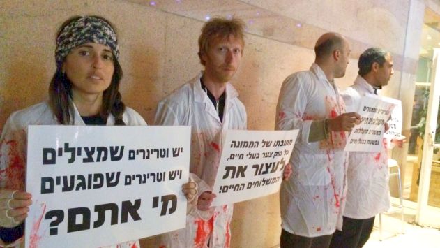 מחאה 'מדממת' באילת