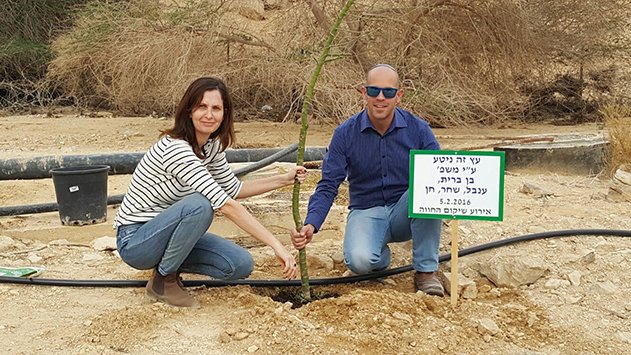 באר אורה הישנה קמה לתחייה