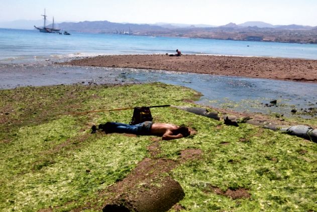 העירייה אישרה לתלמידי 'גולדווטר' את קטע החוף מוכה האצות 
