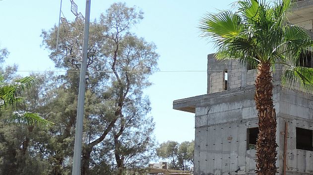 מדבירי עורבים הותקפו באבנים