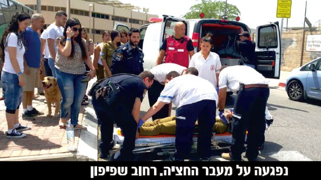 נהגים דורסים הועמדו לדין