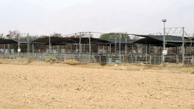 סופית: פארק מים באילת רק אם תסולק הקרנטינה של קיבוץ אילות
