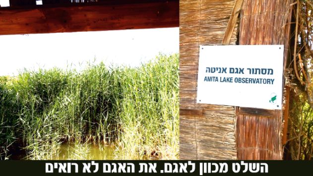 תאגיד התיירות: פארק הצפרות הוא קודם כל מקצועי ורק לאחר מכן תיירותי