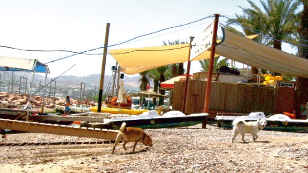 בנייה ללא היתר בחופי אילת