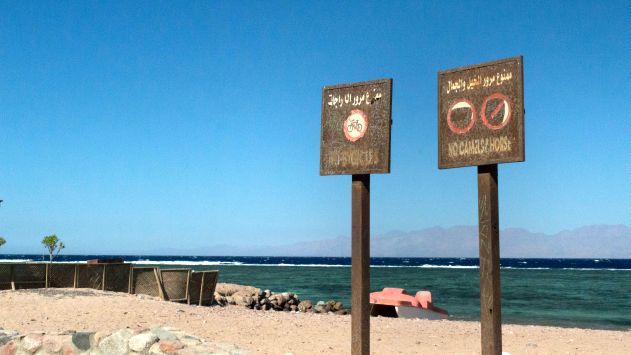 תמונות מחופי סיני: אתרי התיירות קרסו