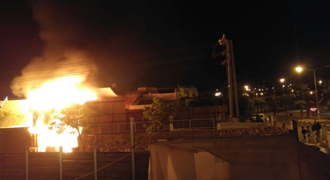כלב נספה בשריפה