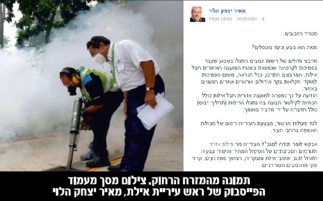 כרגיל אחרי גשם: מכת זבובים באילת