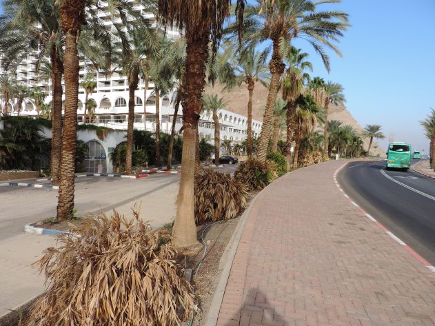 רכוש נגנב ממחסני מלון 'הנסיכה' הסגור