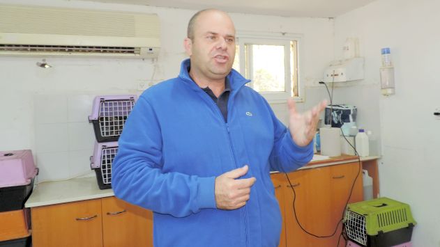 הווטרינר העירוני: לסגור את החתוליה