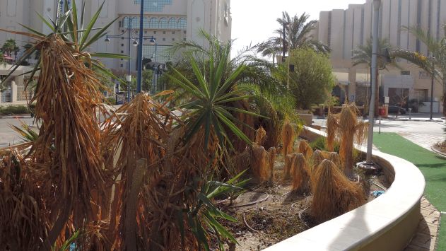 בגלל סגירת בית המלון והאטרקציות אילת איבדה מיליוני שקלים
