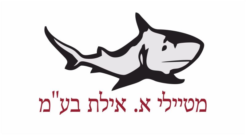מטיילי א. אילת בע''מ - גרר אילת המומחים