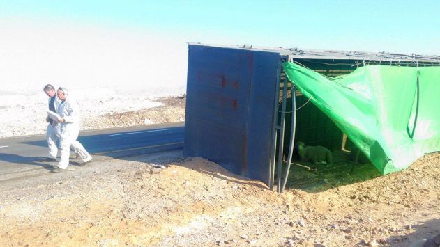 כתבי אישום נגד דורס הפעוט ושלושה נהגי מוניות