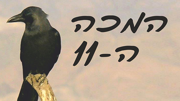 המכה ה-11
